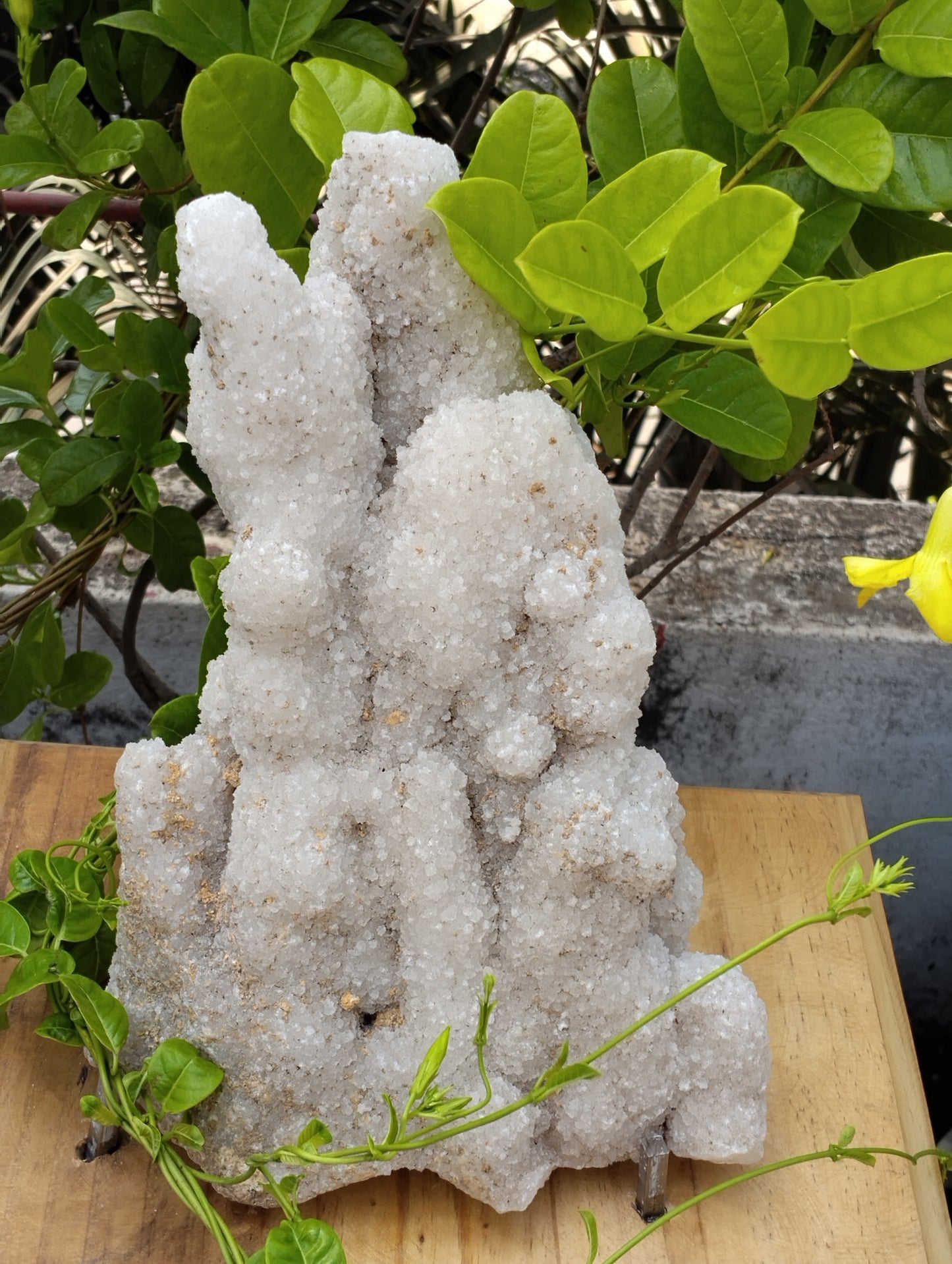 Symphony Of Quartz (Quartz Stalctite)