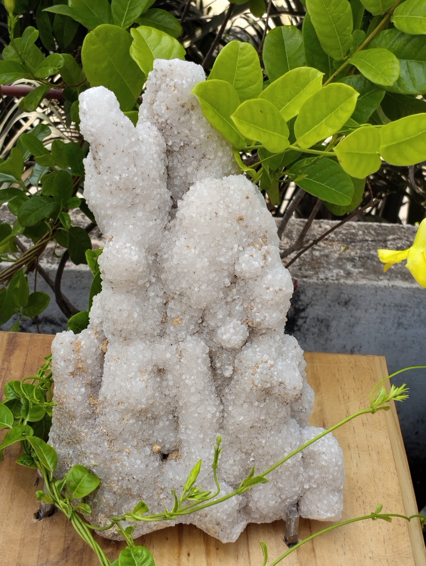 Symphony Of Quartz (Quartz Stalctite)