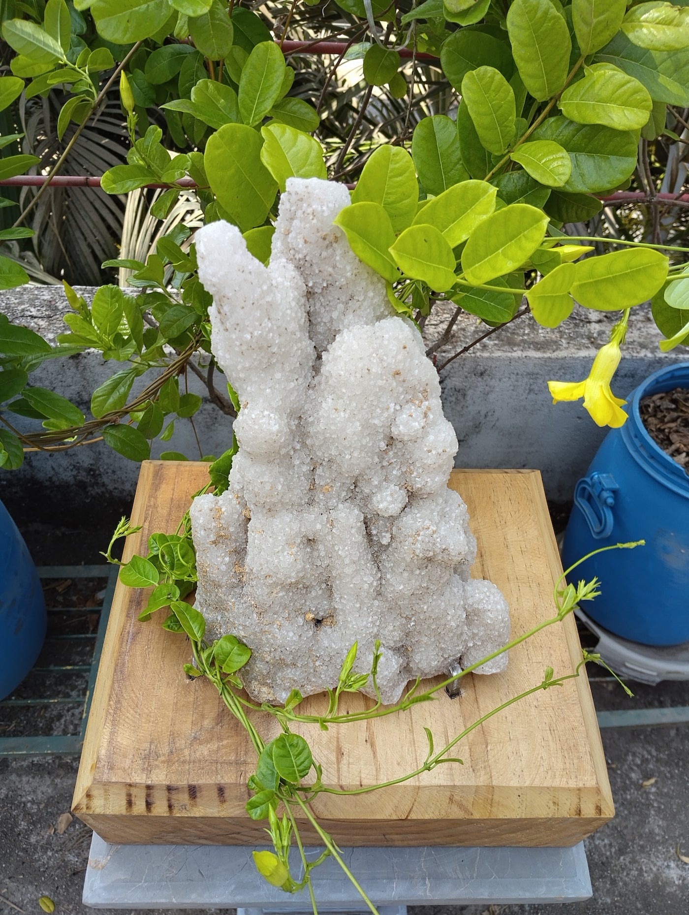 Symphony Of Quartz (Quartz Stalctite)