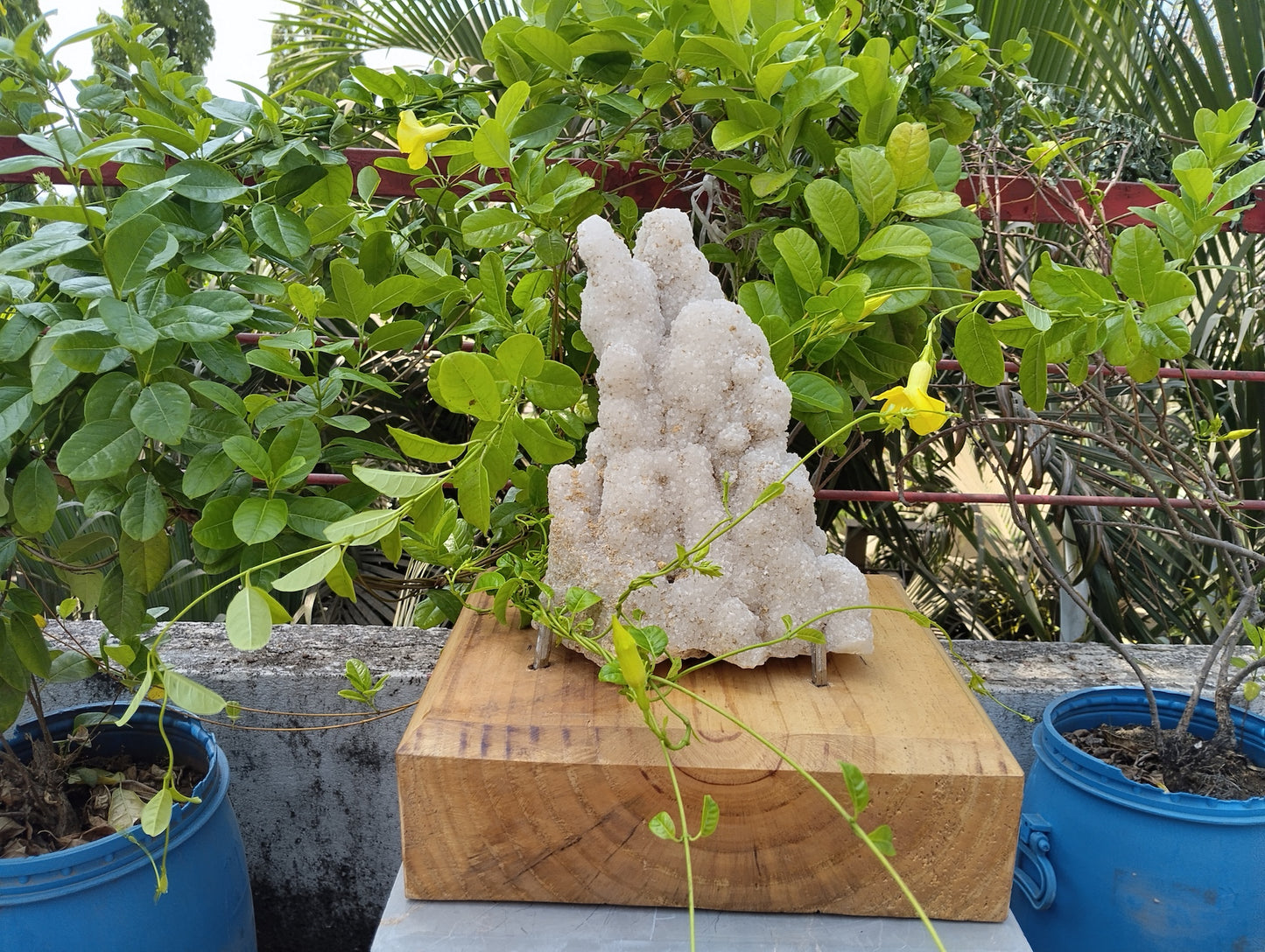 Symphony Of Quartz (Quartz Stalctite)