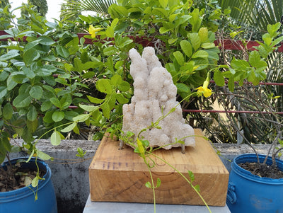 Symphony Of Quartz (Quartz Stalctite)