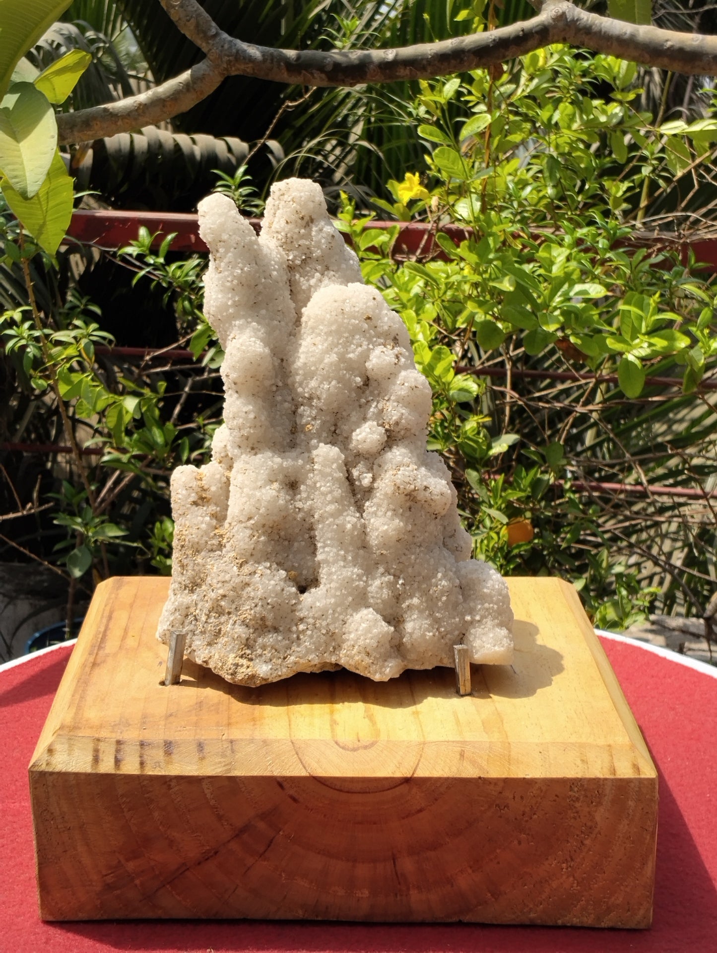 Symphony Of Quartz (Quartz Stalctite)