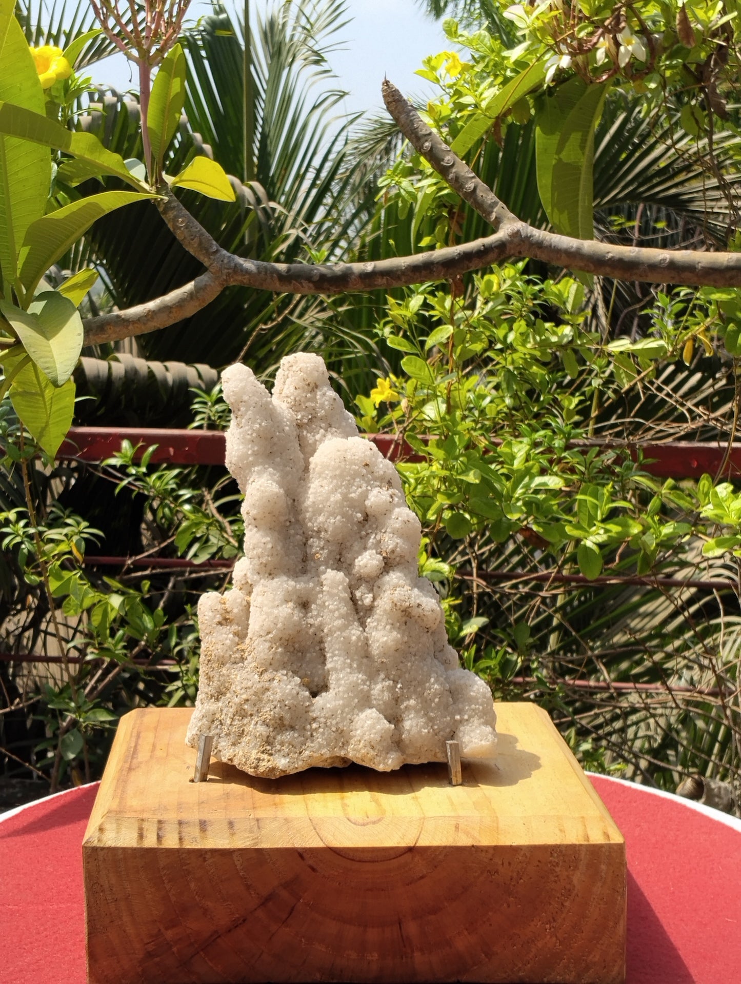 Symphony Of Quartz (Quartz Stalctite)