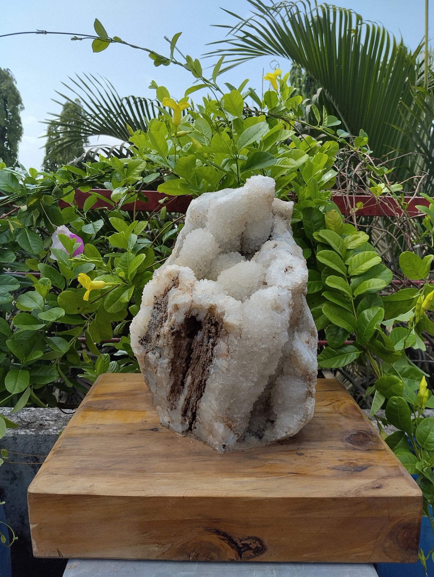 Divine Crystal Elegance (Crystal Quartz)