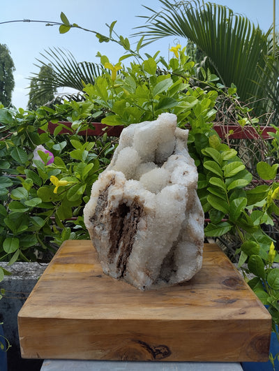 Divine Crystal Elegance (Crystal Quartz)