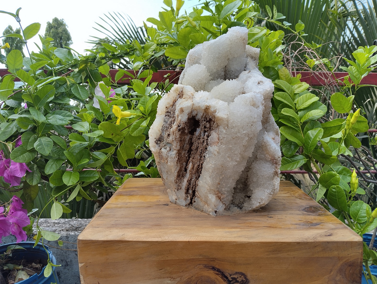 Divine Crystal Elegance (Crystal Quartz)