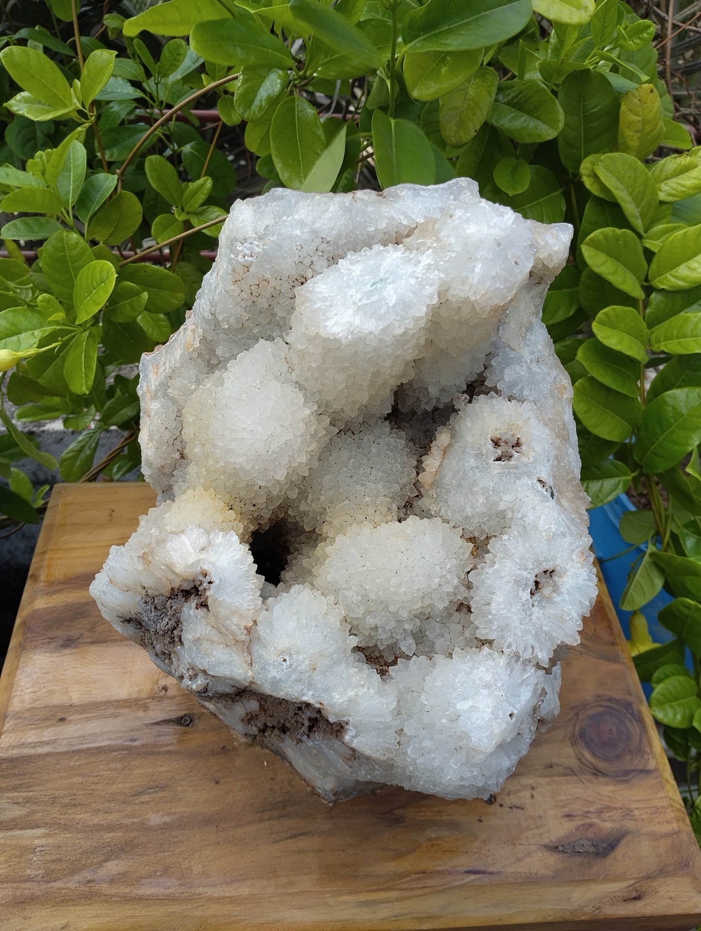 Divine Crystal Elegance (Crystal Quartz)