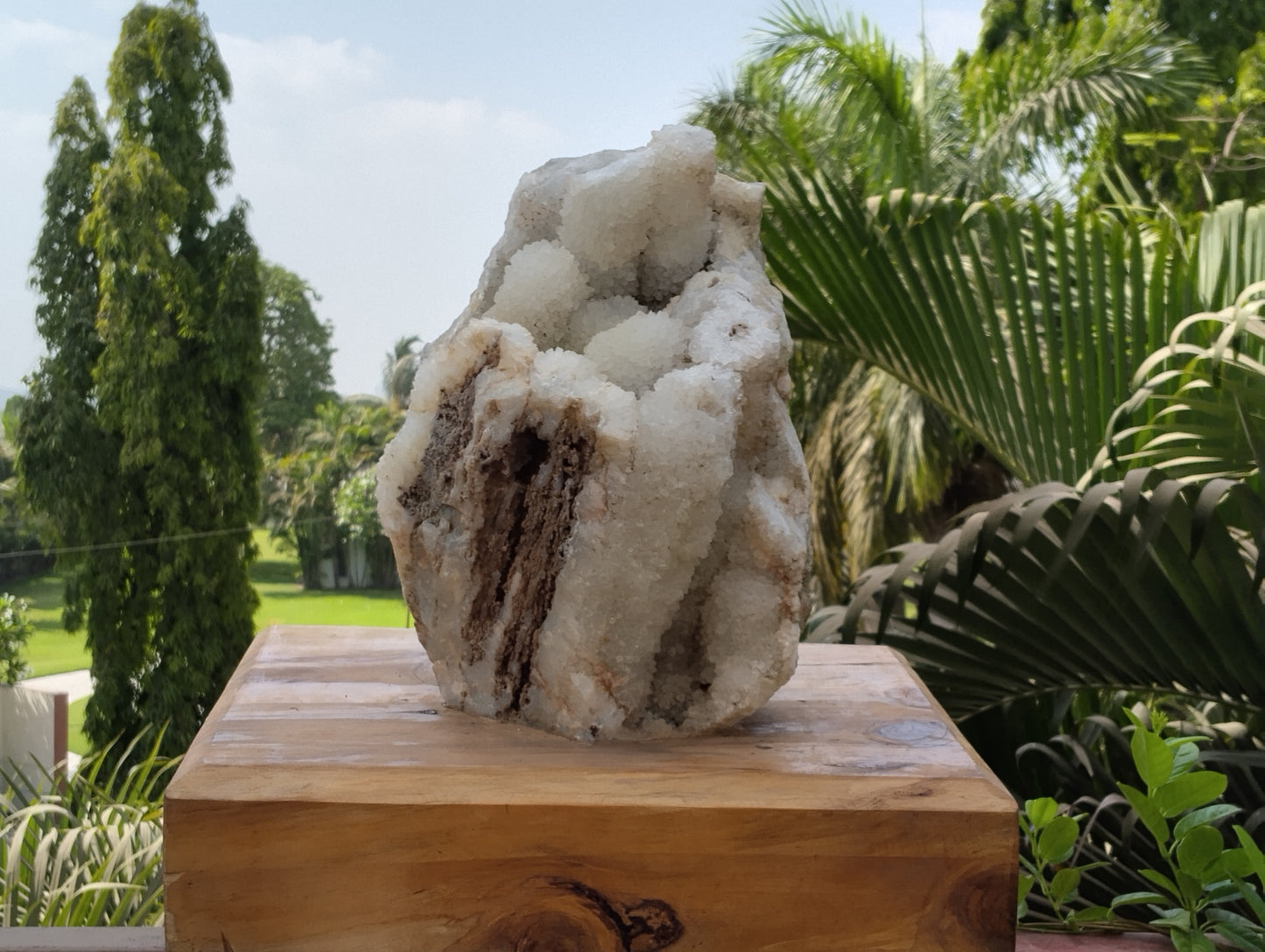 Divine Crystal Elegance (Crystal Quartz)