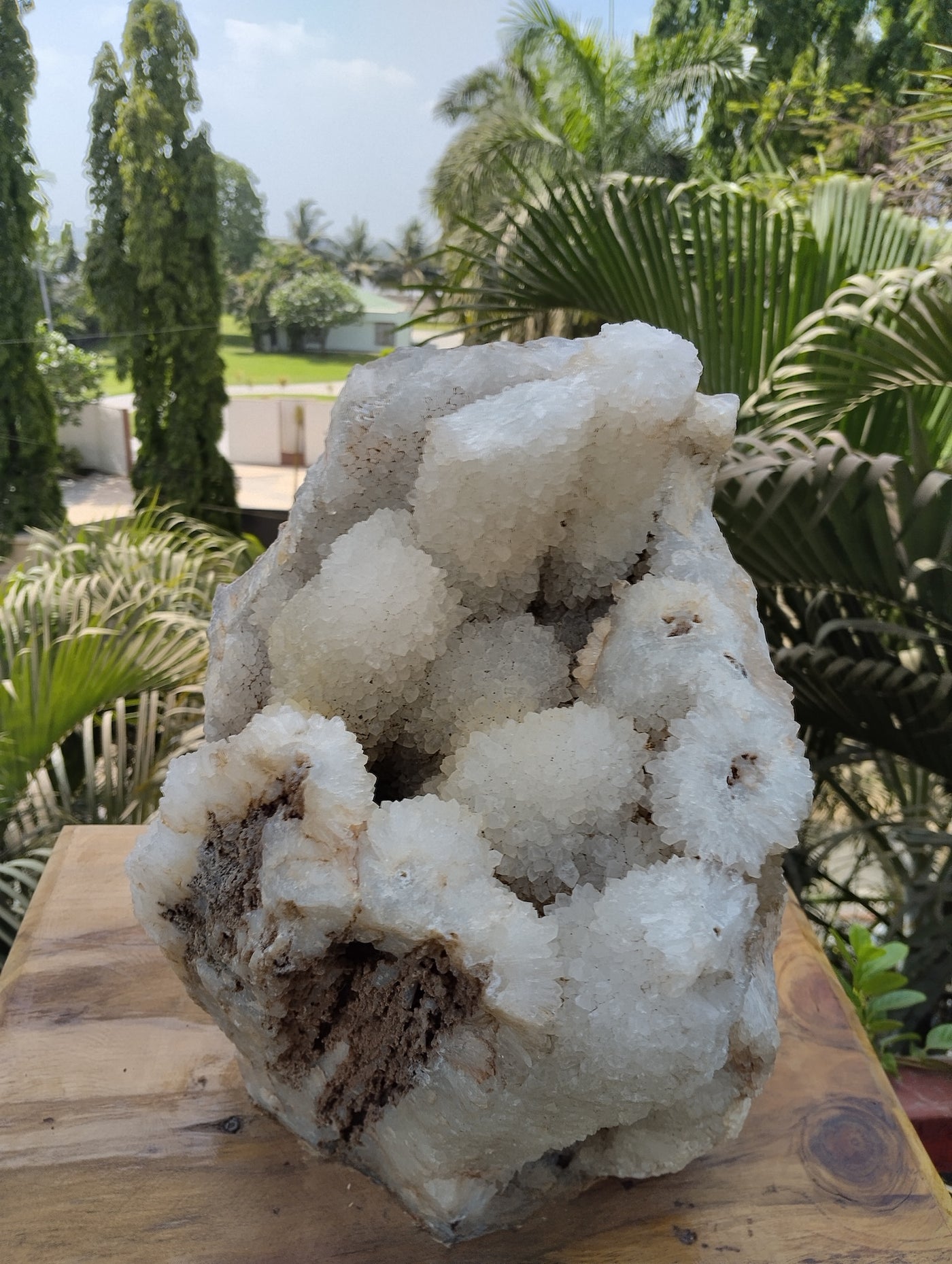 Divine Crystal Elegance (Crystal Quartz)