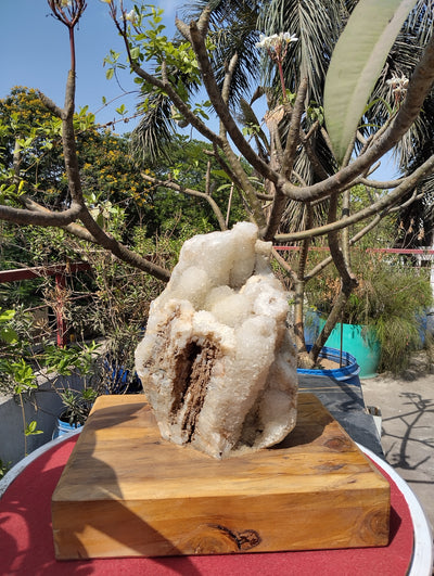 Divine Crystal Elegance (Crystal Quartz)