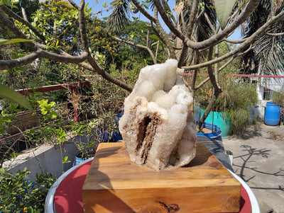 Divine Crystal Elegance (Crystal Quartz)