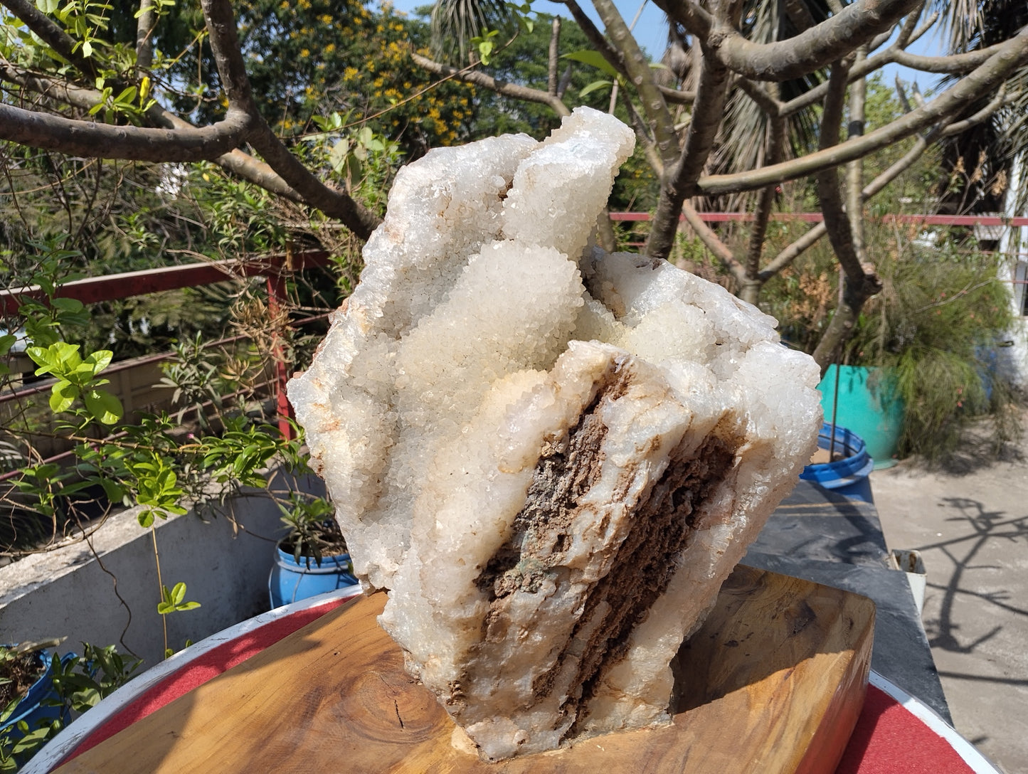 Divine Crystal Elegance (Crystal Quartz)