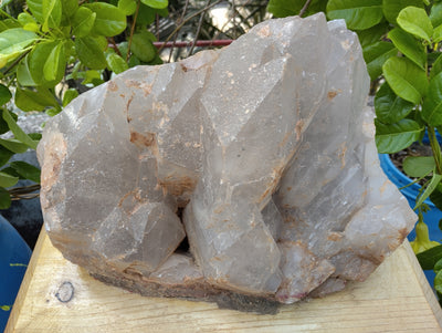 Celestial Ganesha Retreat (Quartz)