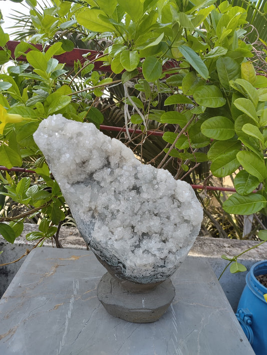 The Vitreous Bouquet (Apophyllite aqua quartz)