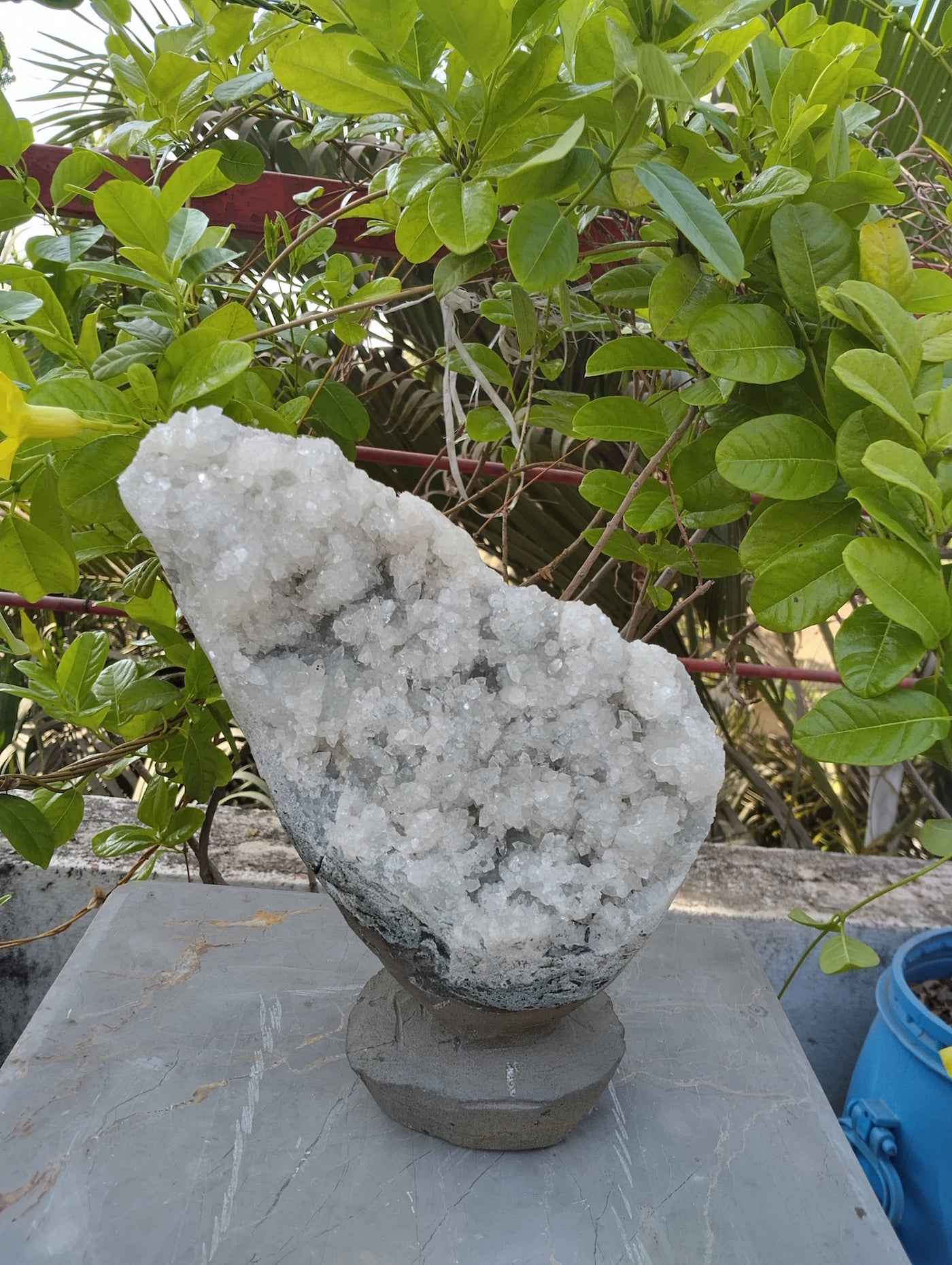 The Vitreous Bouquet (Apophyllite aqua quartz)