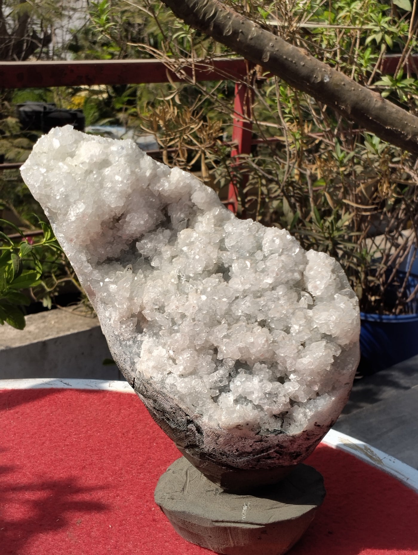 The Vitreous Bouquet (Apophyllite aqua quartz)