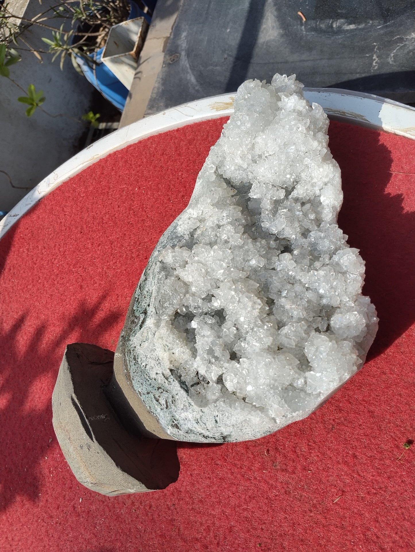 The Vitreous Bouquet (Apophyllite aqua quartz)