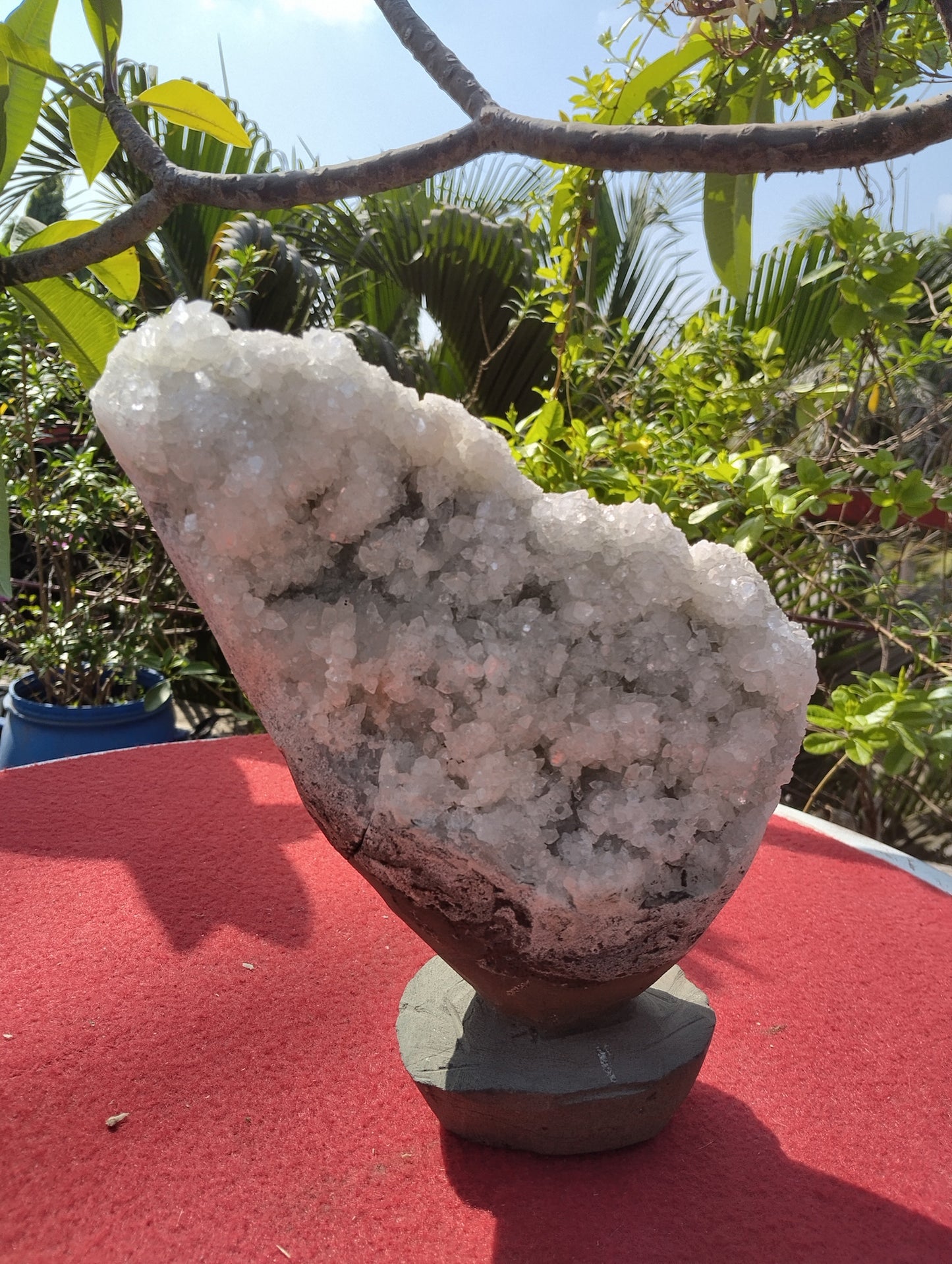 The Vitreous Bouquet (Apophyllite aqua quartz)