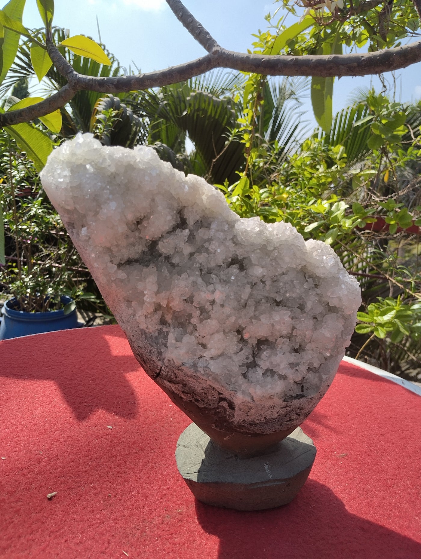 The Vitreous Bouquet (Apophyllite aqua quartz)