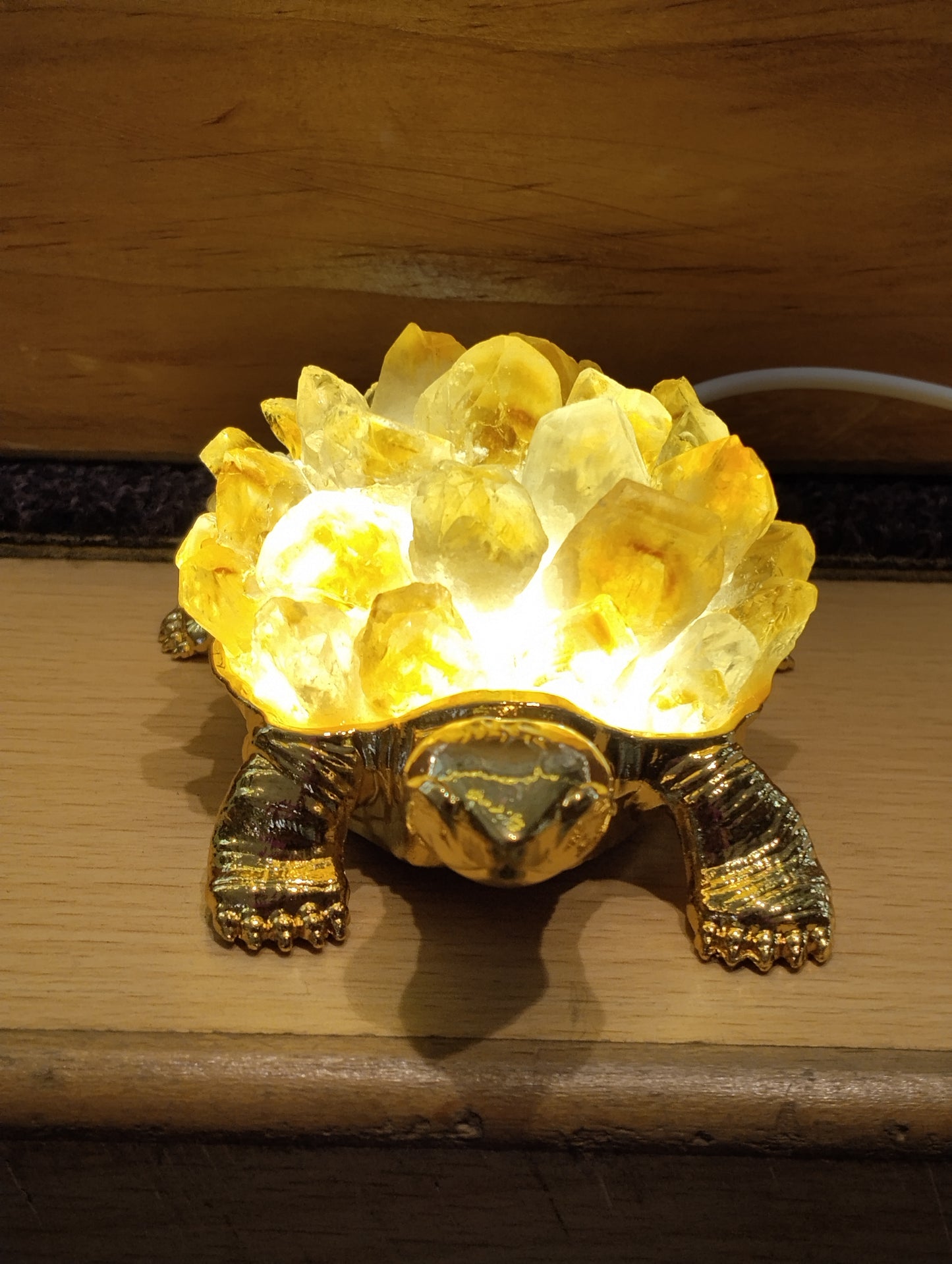 Shell of Light – Citrine Tortoise Lamp