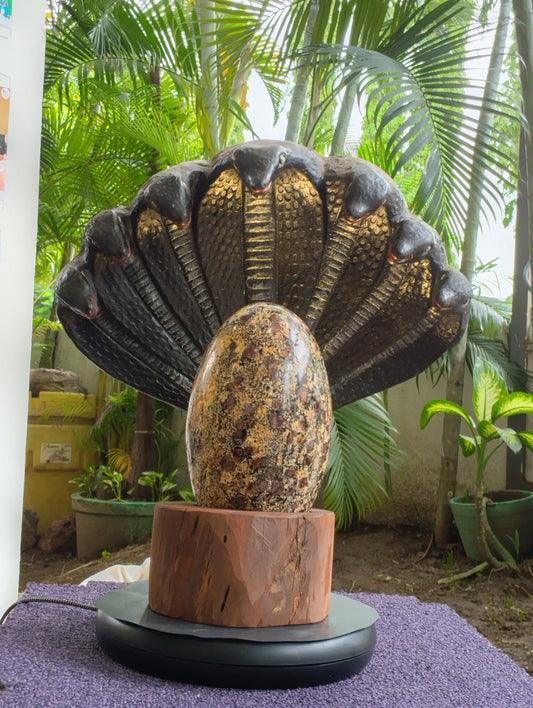 Nag shakti jyotilinga