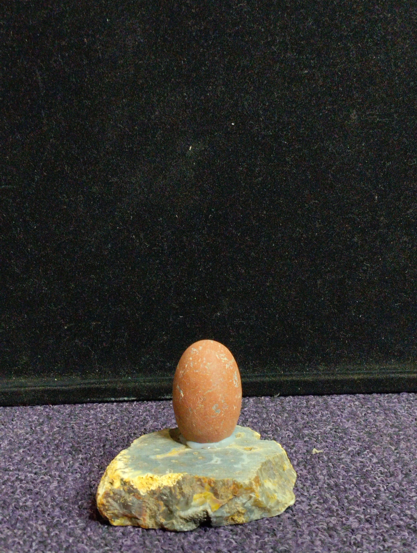 RudraDhara (रुद्रधारा) – “Stream of Rudra”