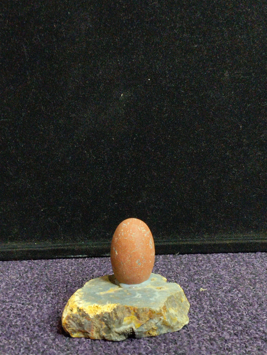 RudraDhara (रुद्रधारा) – “Stream of Rudra”