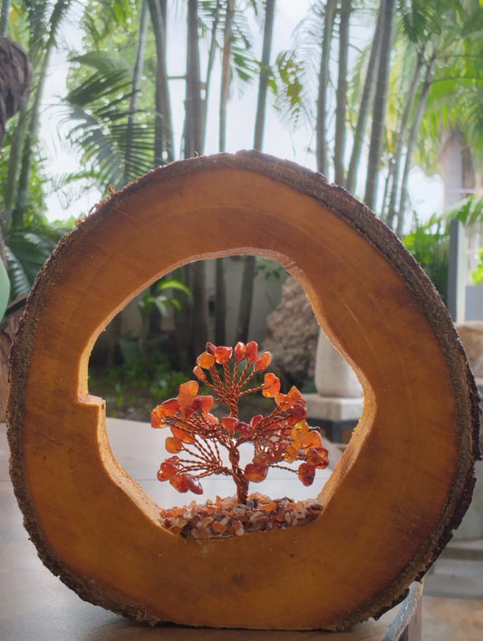 Glowing Gem Tree in Hollow Log