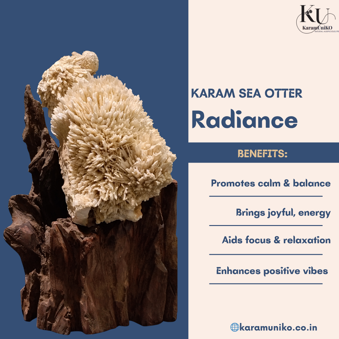 Karam Sea Otter Radiance