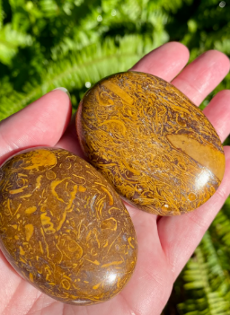 Marium Jasper Palm Stone