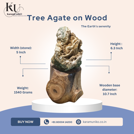 Tree Agate on Wood