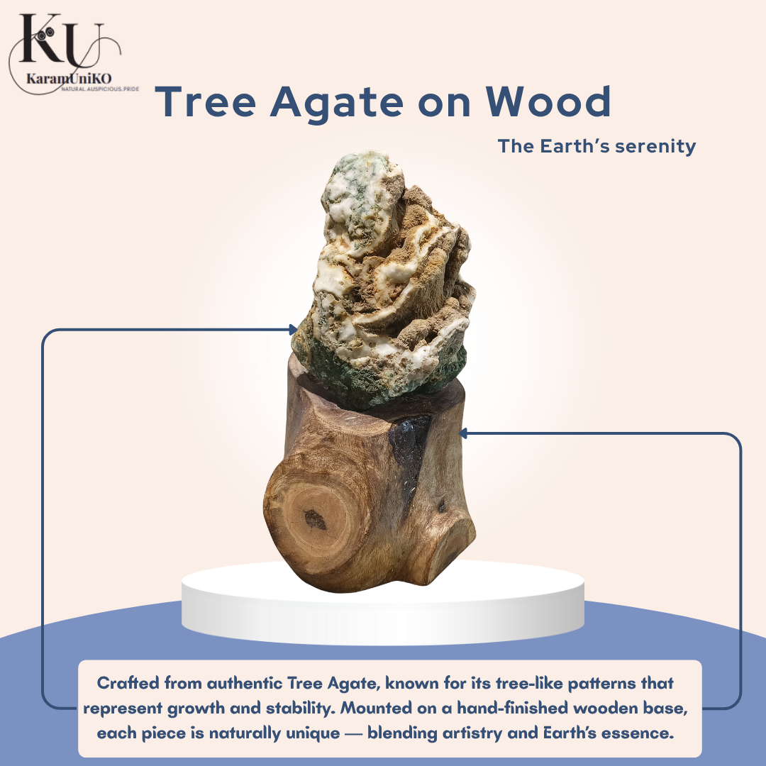Tree Agate on Wood