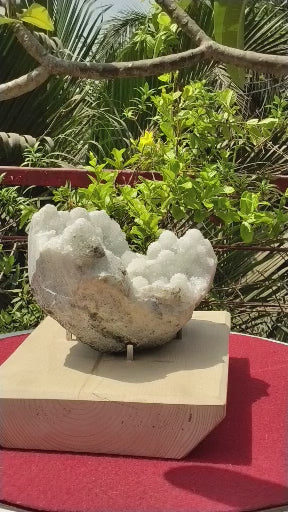 Crystal Blossom Heaven (Apophyllite Tube Matrix)