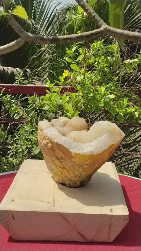 Shiva's Essence (Quartz in Matrix)