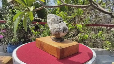 Aura Amplifires (Glossy Apophyllite with quartz Matrix)