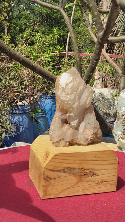 Crystal Ganapti Garce