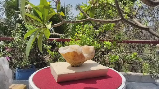 Shiva's Essence (Quartz in Matrix)