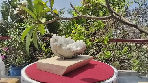 Crystal Blossom Heaven (Apophyllite Tube Matrix)